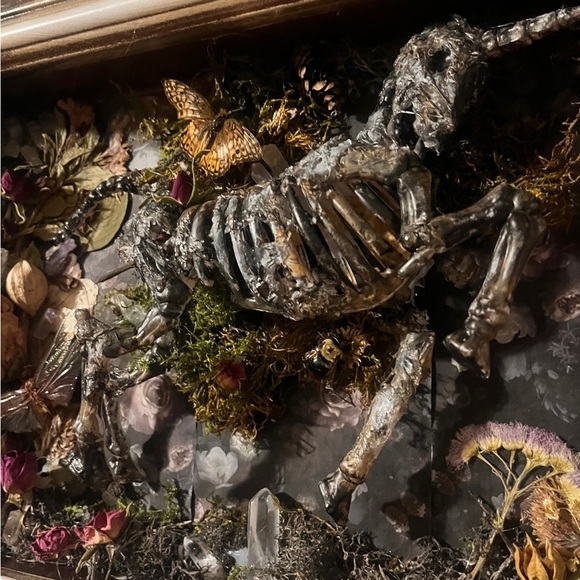 faux baby unicorn mummy wihh the real preserved insects and dried flowers - Picture 2 of 3